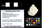 Foto (Objekt + Etiketten) von Goniodromites bidentatus (Reuss, 1858) 